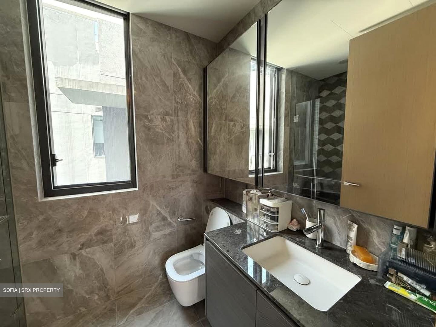 Leedon Green (D10), Condominium #551191581